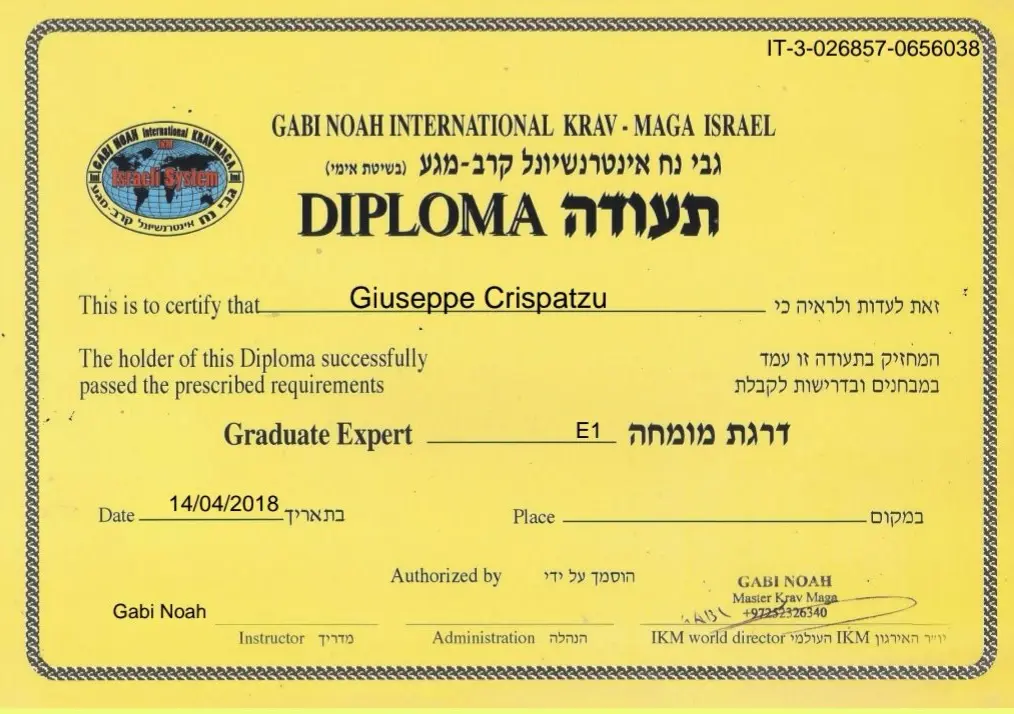 Diploma Graduate Expert E1 - Giuseppe Crispatzu