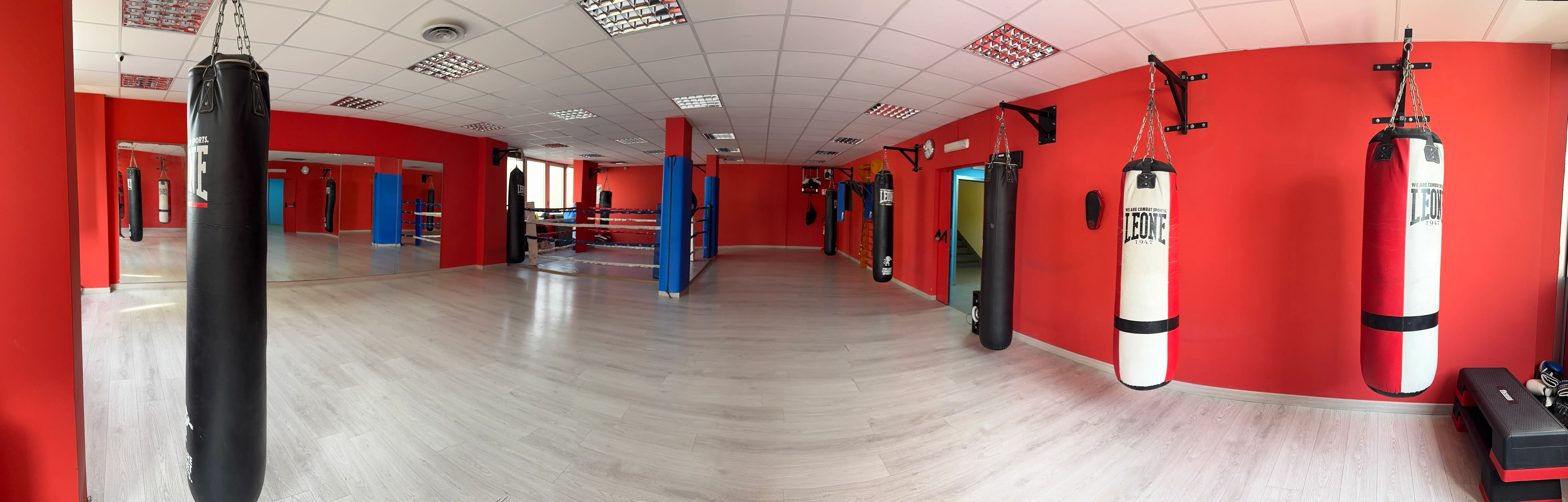 IKM Roma — sacchi Leone in primo piano (nero, bianco e rosso) con ring da combattimento sullo sfondo